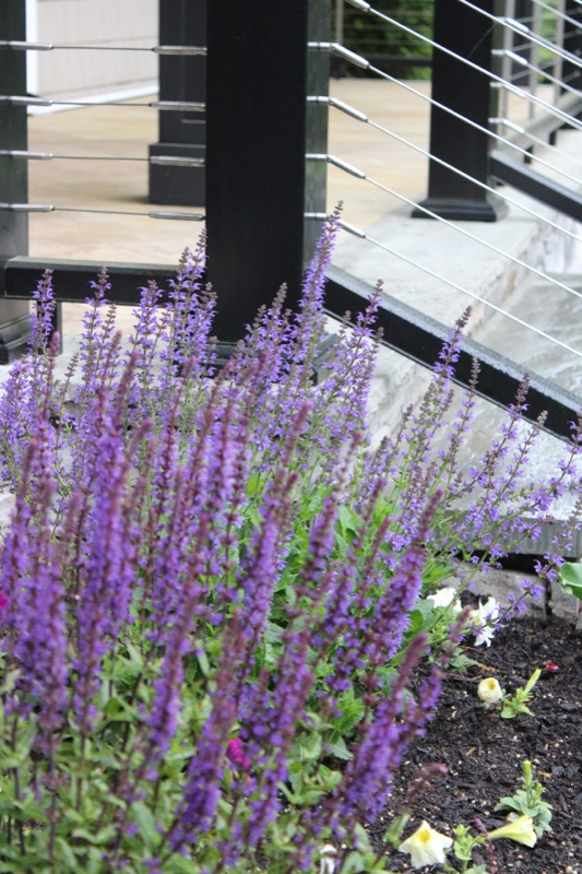 Deck and landscape design in East Patchogue, NY